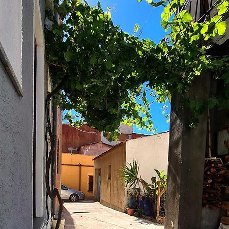 3 Mini Studios In سينيسكولا المظهر الخارجي الصورة